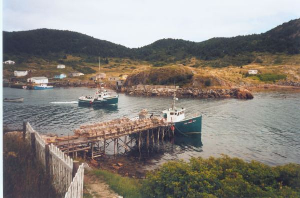 596: Red Island. Jim Mulrooney's 'Jennifer Elizabeth'. (2002) [courtesy of Heather Walsh]